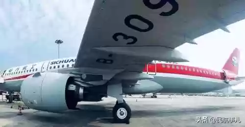 飞机309阵容(三国志战略版s3t0阵容)插图2