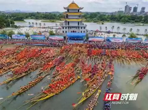 道县龙舟阵容(烟雨江湖t0阵容)