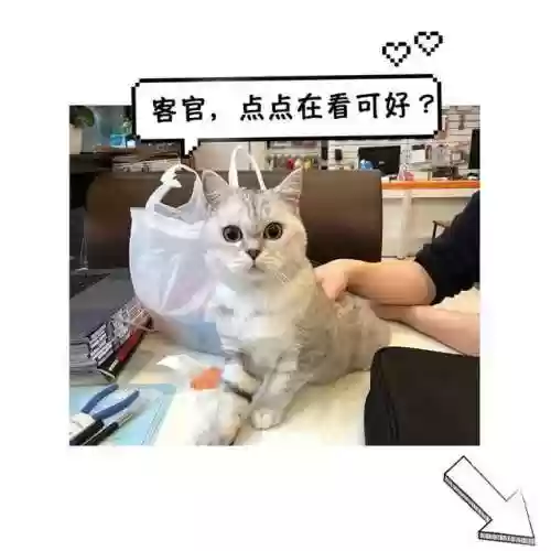 鹰眼配置阵容(航海王燃烧意志鹰眼加点图最新)插图16
