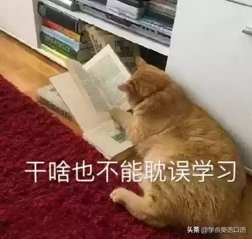 豪华阵容 英文(和平精英俱乐部名字推荐英文)插图2 豪华阵容 英文(和平精英俱乐部名字推荐英文)插图2