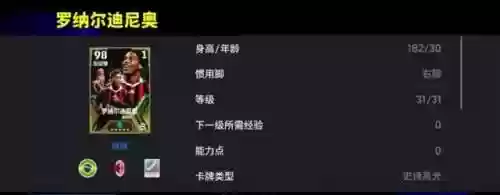 绿茵阵容召集(绿茵之巅最佳球员搭配)插图1