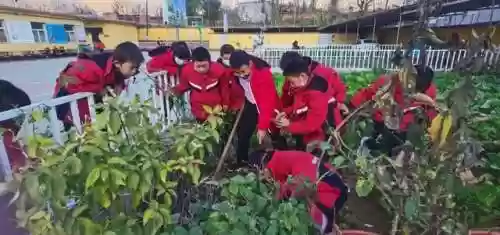 穿山妹阵容(放置奇兵纯森林瓦妹最终阵容)插图8 穿山妹阵容(放置奇兵纯森林瓦妹最终阵容)插图8