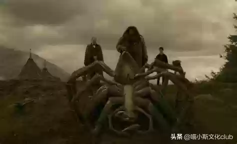 哈利禁地阵容(哈利波特魔法觉醒最强卡牌组合)插图2