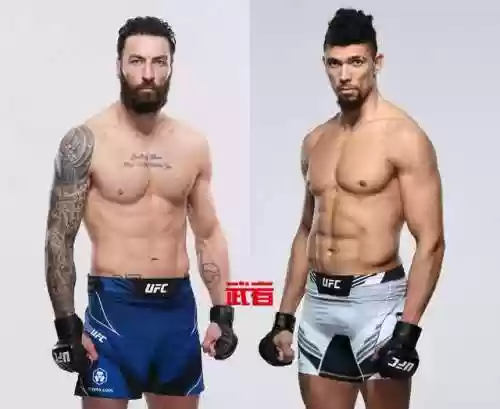 沙米尔阵容(沙暴队最强阵容搭配)插图3