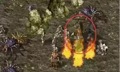 幻影蜘蛛阵容搭配