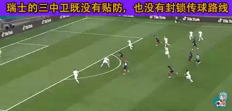 瑞士阵容弱点(法国足球评选历史最佳阵容)插图8