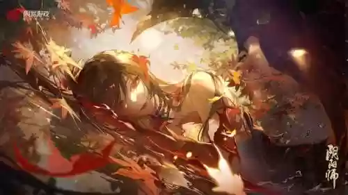 达摩武馆阵容(达摩控踢详细教学)插图30