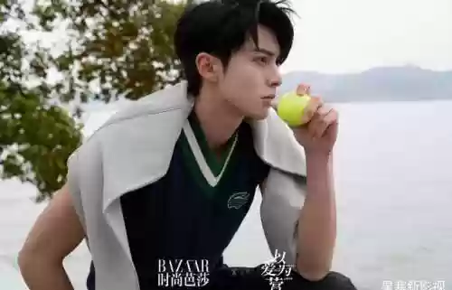 爱之翼阵容(爱琳诗篇最强阵容)插图3
