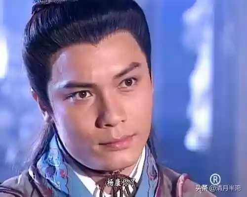 杨康阵容搭配(新射雕群侠传之铁血丹心杨过阵容)插图18