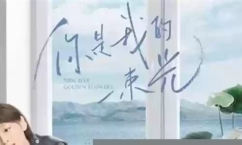 超强主创阵容搭配