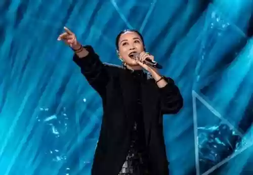 最强歌手阵容(王者荣耀娱乐阵容)插图2