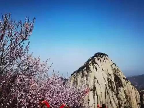 青年战国阵容(三国杀国战组合)