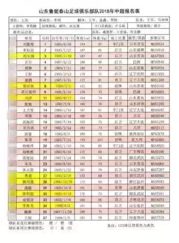 鲁能阵容2019(鲁能球员全部名单)
