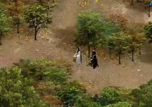 秦殇老婆阵容(秦殇技能加点方法推荐)插图10