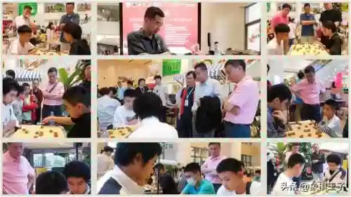 下棋司令阵容(军棋进攻型最强阵容)插图1