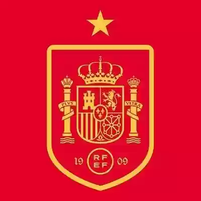 西班牙年轻阵容(西班牙夺冠世界杯阵容)