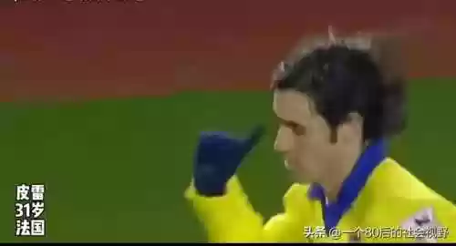 法国2004 阵容(1998年法国队阵容)插图5