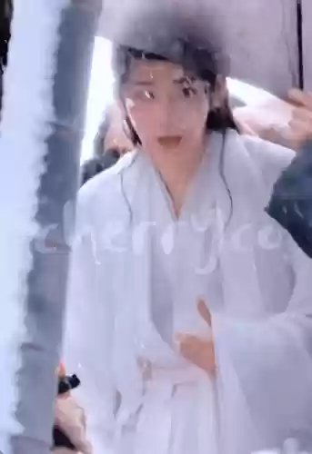 白衣狐狸阵容(云顶狐狸主C阵容)插图11