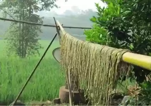彝良队阵容(442是什么阵容)插图40