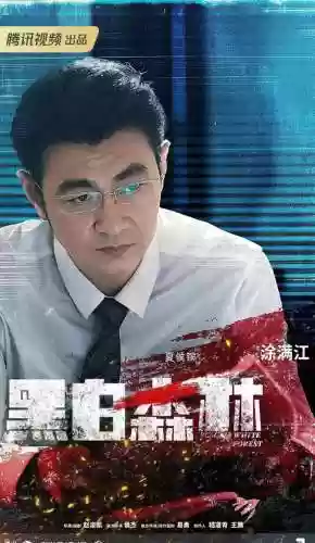 热血阵容28(热血三国无双最强阵容)