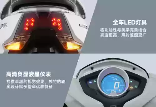 轻量化阵容(宝可梦t0阵容)插图14 轻量化阵容(宝可梦t0阵容)插图14