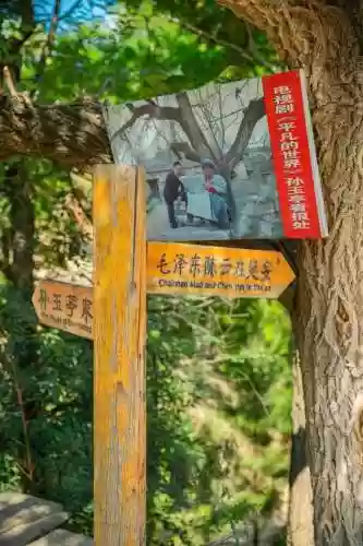 群雕阵容搭配(新射雕群侠传最强T0阵容)插图31