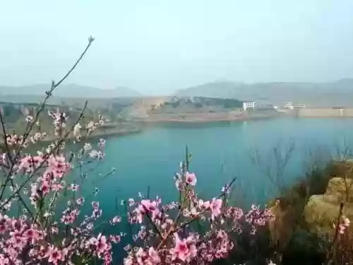 清乐竹林阵容(阴阳师单体阵容)插图12