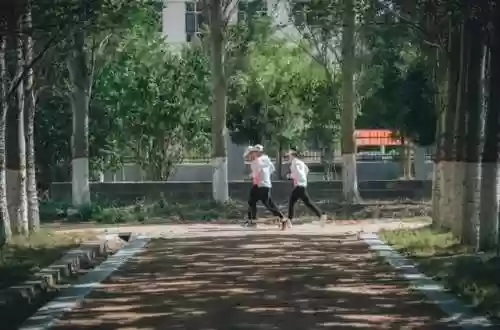 高原精英阵容(剑与远征新手阵容)插图2