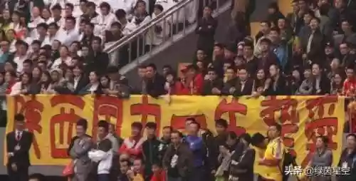 陕西国力阵容(三国志战略版国家队阵容大全)插图6