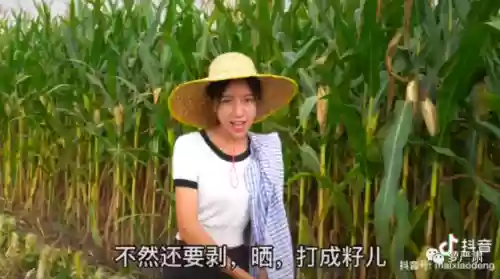 时空边境阵容(不思议迷宫地狱边境阵容及流程详解)插图36