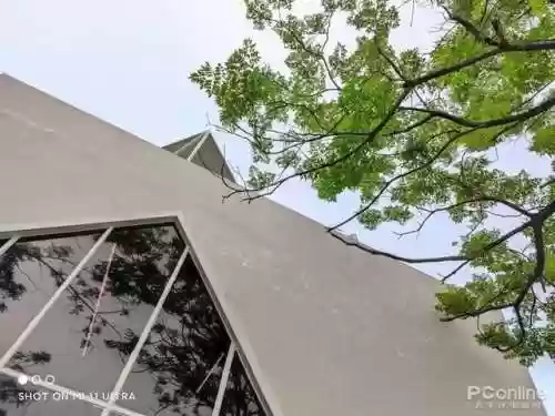 豪华阵容配置(不朽家族推图阵容搭配)插图18