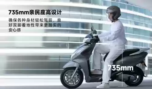 轻量化阵容(宝可梦t0阵容)插图17 轻量化阵容(宝可梦t0阵容)插图17