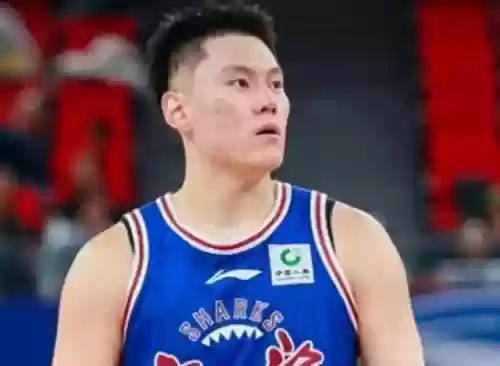 精英20阵容(最佳阵容号码技能进阶图)