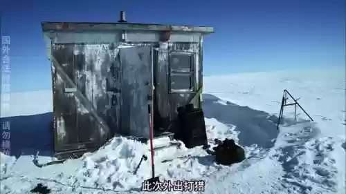 北极狩猎阵容(狩猎战麒麟高分阵容2023)插图1