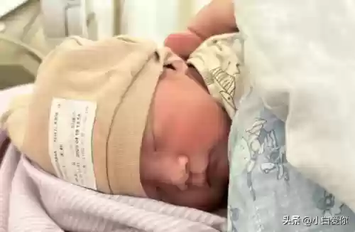 烈火玫瑰阵容(枪炮之恋阵容搭配)插图1
