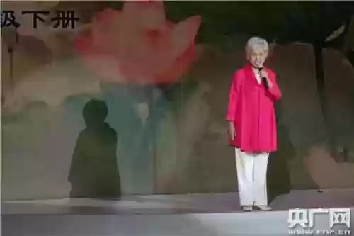 最强播音阵容(王者荣耀模拟战最强阵容)插图9