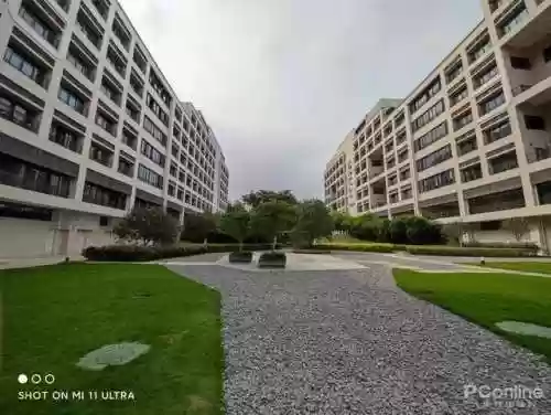 豪华阵容配置(不朽家族推图阵容搭配)插图19