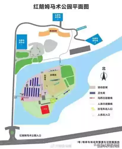 马花桶阵容(四斗士配什么阵容s5)插图3