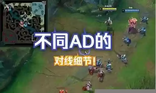 不同ad阵容搭配