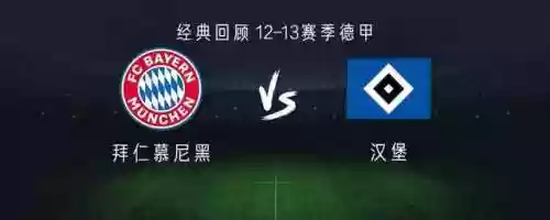 汉堡阵容2013(12年热火阵容)