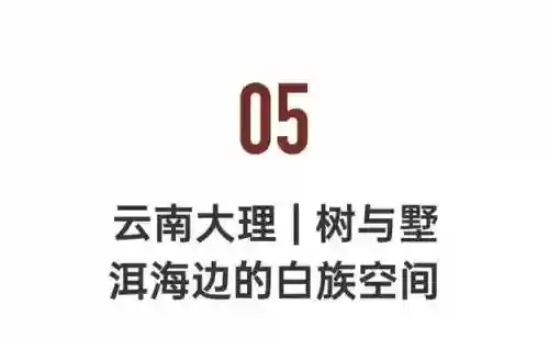 命名夜阑阵容(星陨之地阵容推荐)插图50