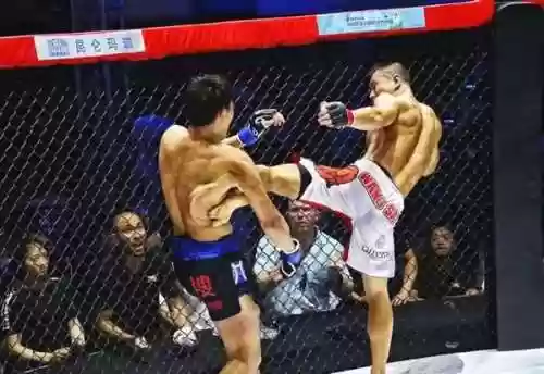 烟台谜底阵容(陷阵营最佳阵容)插图4 烟台谜底阵容(陷阵营最佳阵容)插图4