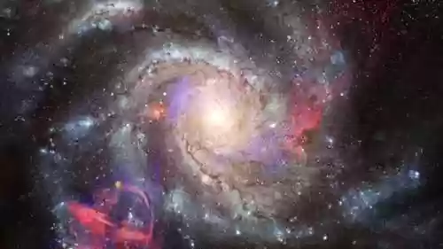 宇宙家族阵容(龙珠第七宇宙出场阵容)插图1