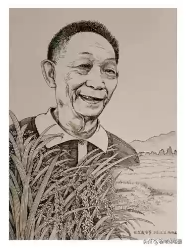 稻神配合阵容(神都夜行录最佳阵容)插图1