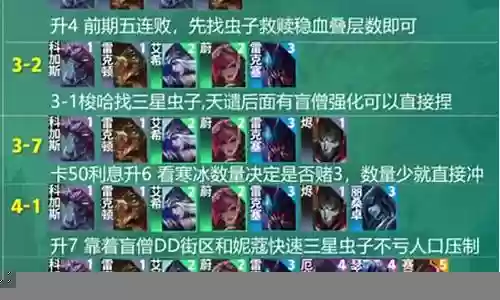 科加斯阵容搭配最新