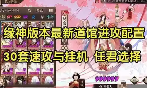 道馆双修阵容搭配推荐