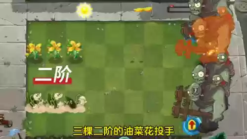 蜜蜂铃兰阵容(铃兰花和什么花搭配好看)插图5