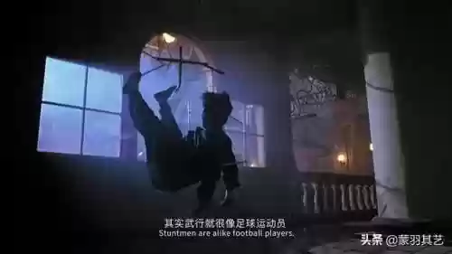 成龙武师阵容(成龙真的会武功吗)插图42