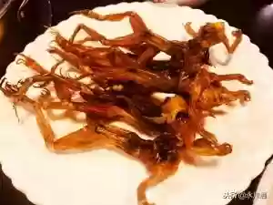 美人蛙阵容(宝可梦t0阵容)插图12