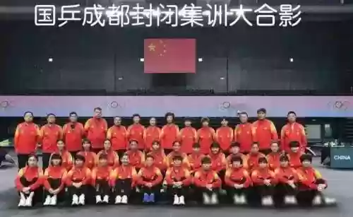 陪练阵容豪华(陪练车哪个平台比较好)